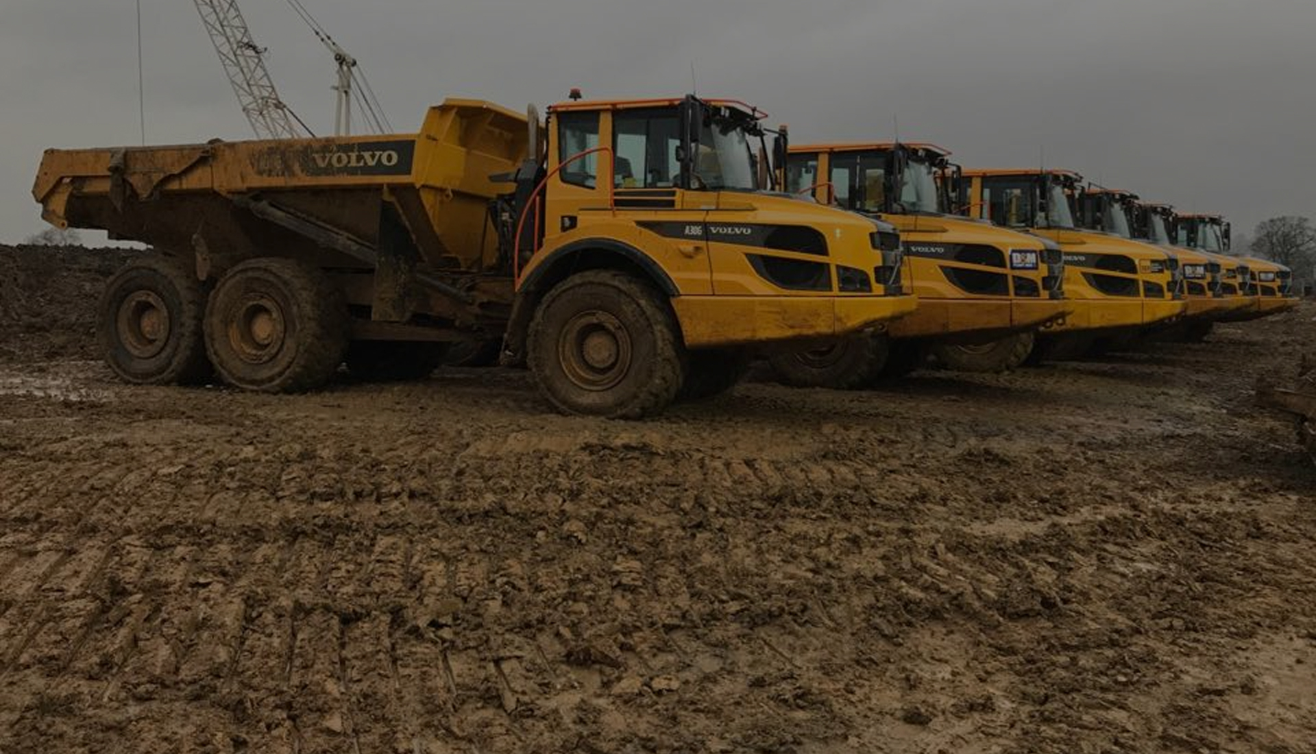 Over 40 years <span style=